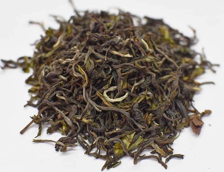 ������������ ���륶����� �ե������ȥե�å���֥��� 50��