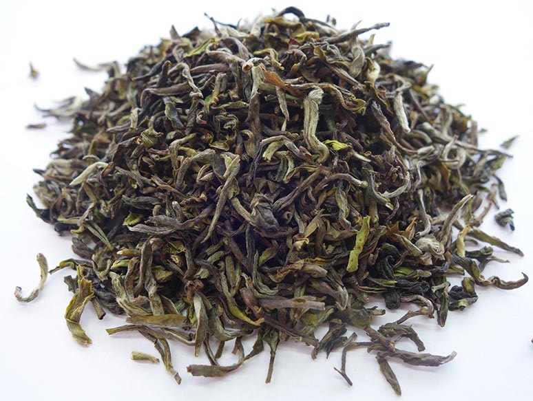 ��������� 2022ǯ �ե������ȥե�å��� �������� 20�� DJ-3 FTGFOP1 (CL)