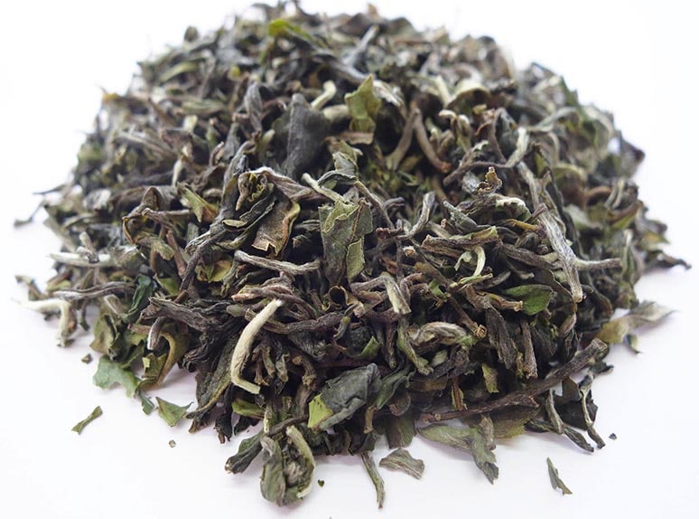 ��������� 2022ǯ �ե������ȥե�å��� �ꥶ�ҥ���� 20�� DJ-2 FTGFOP1 (CL)