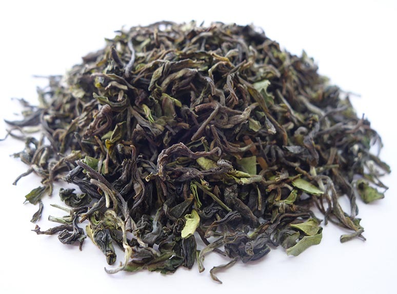 ��������� 2022ǯ �ե������ȥե�å��� ���륶����� 20�� DJ-01 FTGFOP1(CL)