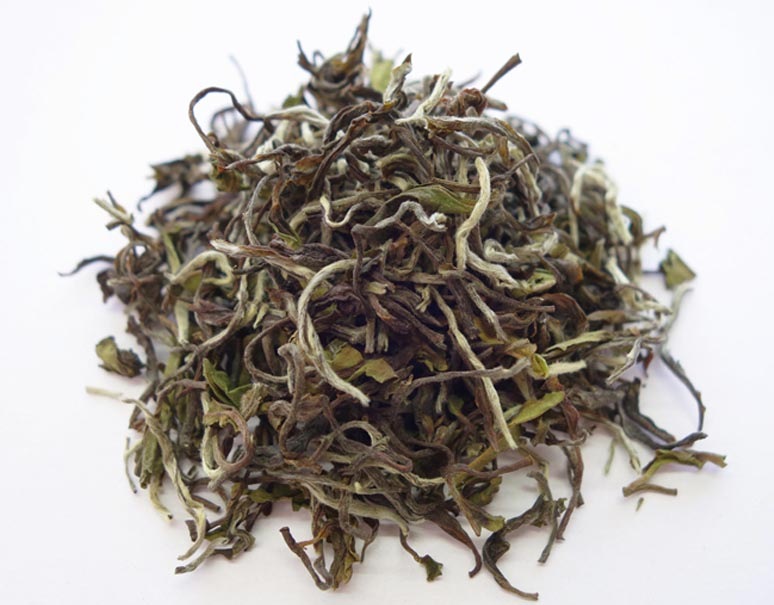 ��������� 2022ǯ �ե������ȥե�å��� ���륶����� 20�� DJ-09 FTGFOP1 (Moon Light)