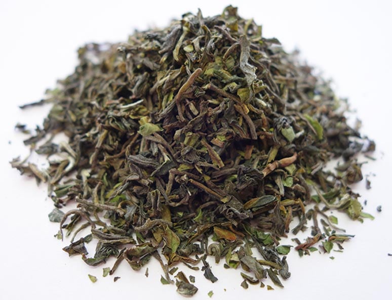 ��������� 2022ǯ �ե������ȥե�å��� ������å���� 50�� DJ-12 FTGFOP1