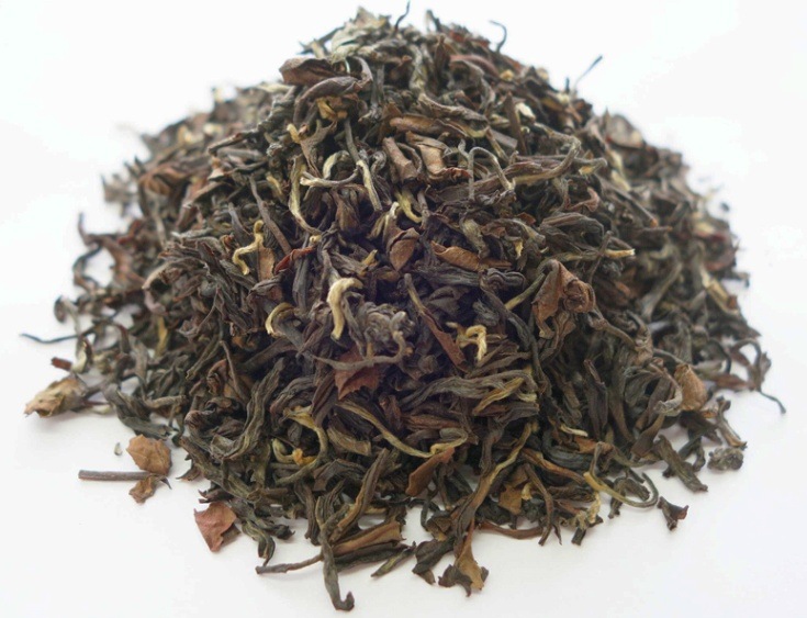  2023ǯ ɥեå 륶 50g DJ-35 CLONAL DELIGHT