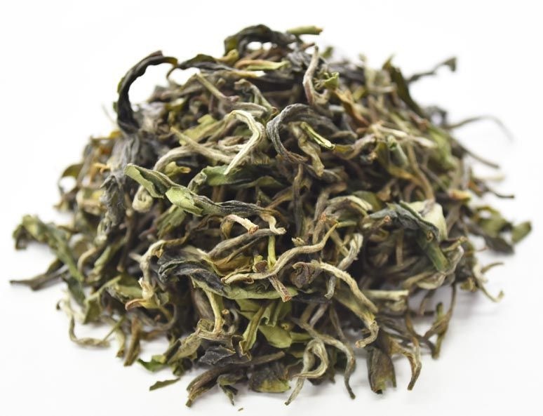 ��������� 2025ǯ �ե������ȥե�å��� ���륶����� 500g DJ-07��ENIGMA��