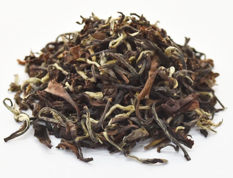 ダージリン 2025年 セカンドフラッシュ プッタボン茶園 500g EX-48