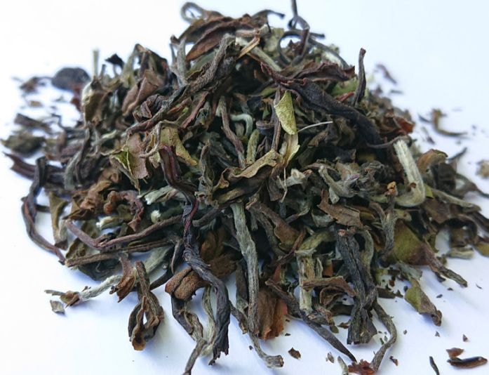������������ 2026ǯ ��Ŧ�� �ꥶ�ҥ�����CLONAL WONDER��EX-6 80g (20g x 4��) 