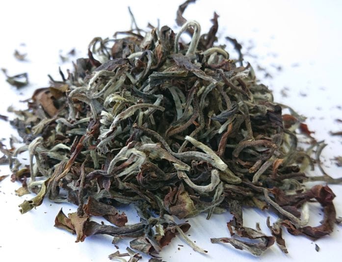 ������������ 2026ǯ ��Ŧ�� �ꥶ�ҥ�����MOONSHINE��EX-5 500g 