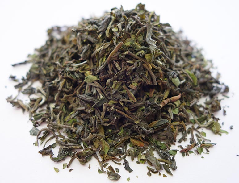  2022ǯ եȥեå å 500 DJ-12 FTGFOP1