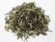 ��������� 2023ǯ �ե������ȥե�å��� ���󥲥���� 50g EX-18 FTGFOP1 (Spring Blossom)