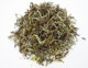 ダージリン 2023年 ファーストフラッシュ サマビオン茶園 500g DJ-18 FTGFOP1 (Spring Blossom)
