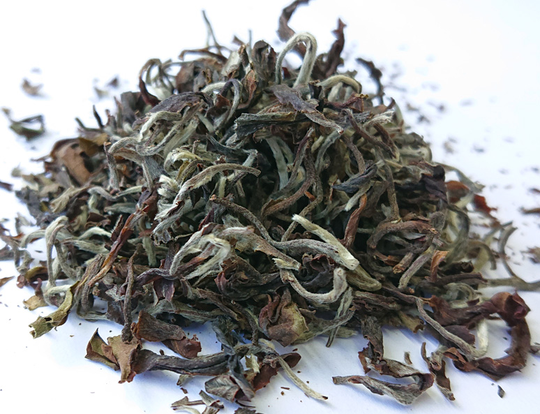 ������������ 2026ǯ ��Ŧ�� �ꥶ�ҥ�����MOONSHINE��EX-5 20g