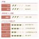 �˥륮����� ������ƥ����������� �����ʥ���� 100�� (50�� �� 2��) BOP