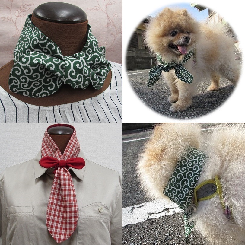 ²ڥåȤƤϥͥåߤϤͥåȤơS