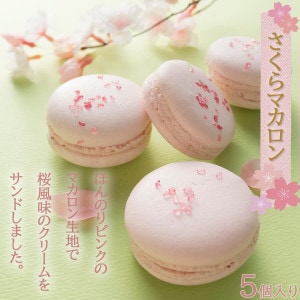 �ں��ޥ������ ��������̣ �ޥ����� �������� ´��/���ؽˤ� ���ۻ� �ץ쥼��� �����꡼��