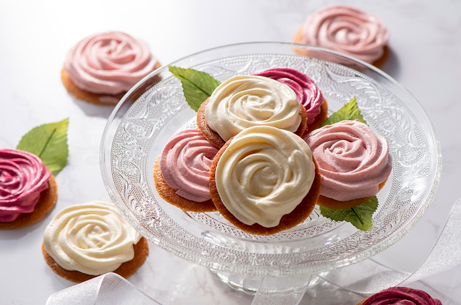 �ڸ�������ۥ���󡦥��ơ��磻�� ��ޯ��ʥܥȥ�������Υ����ȥ��å�����ͤ��碌�� ���������ߡ�