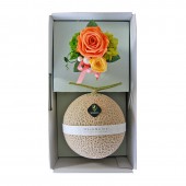 �ޥ��������ȥץ�����󥸥���