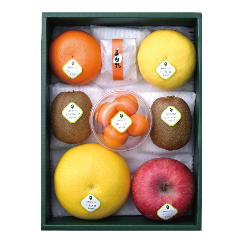 ����β�ʪ�͹�(2)������Ȣ��