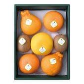 ����β�ʪ�͹�(2)������Ȣ��