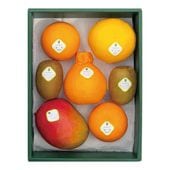 ����β�ʪ�͹�(3)������Ȣ��