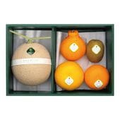 ����β�ʪ�͹�(6)������Ȣ��