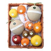 ����β�ʪ�͹�(8)��������