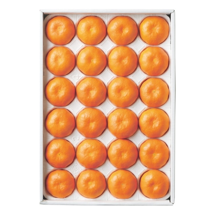 Ԥ롦ߤθեȥǺܡ̪͹硡24[M]Ȣ