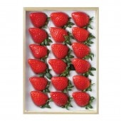 �ڤ��Ϥ��������Բġۡ��������󥹥ȥ��٥꡼ 1���å� ��Ȣ����