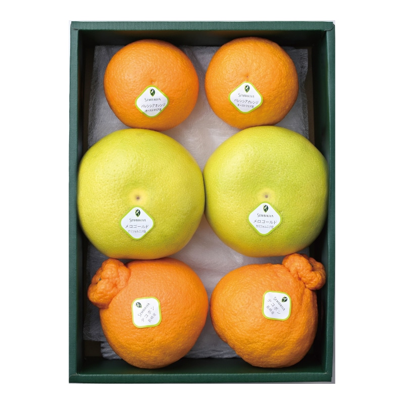 ���̲�ʪ�͹硡����Ȣ��