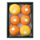 ���̲�ʪ�͹硡����Ȣ��