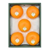 �ڤ��Ϥ��������Բġۤ��Ȥ� 5�� ����Ȣ��