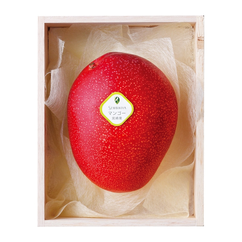 �ܺ긩�� ���ϥޥ󥴡���4L��������1�ġ���Ȣ����