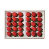 �ڤ��Ϥ��������Բġۥ������󥹥ȥ��٥꡼�����ޤ�� �͹� ��Ȣ��