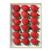 �ڤ��Ϥ��������Բġۡ����ޤ�� 1���å� ��Ȣ����