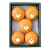 [���Ϥ����֡�4��20���ޤ�]���� 5�� ����Ȣ��