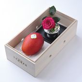 ����������꾦�ʡ۴��ϥޥ󥴡�����������ɥ������͹� ��Ȣ��