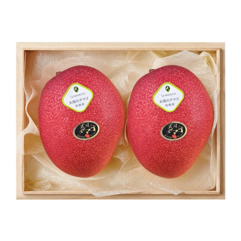 �����̲��ʡ�WEB���ꥵ�����۵ܺ긩�� ���ϥޥ󥴡� ���ۤΥ��ޥ�(3L) 2�� ��Ȣ��