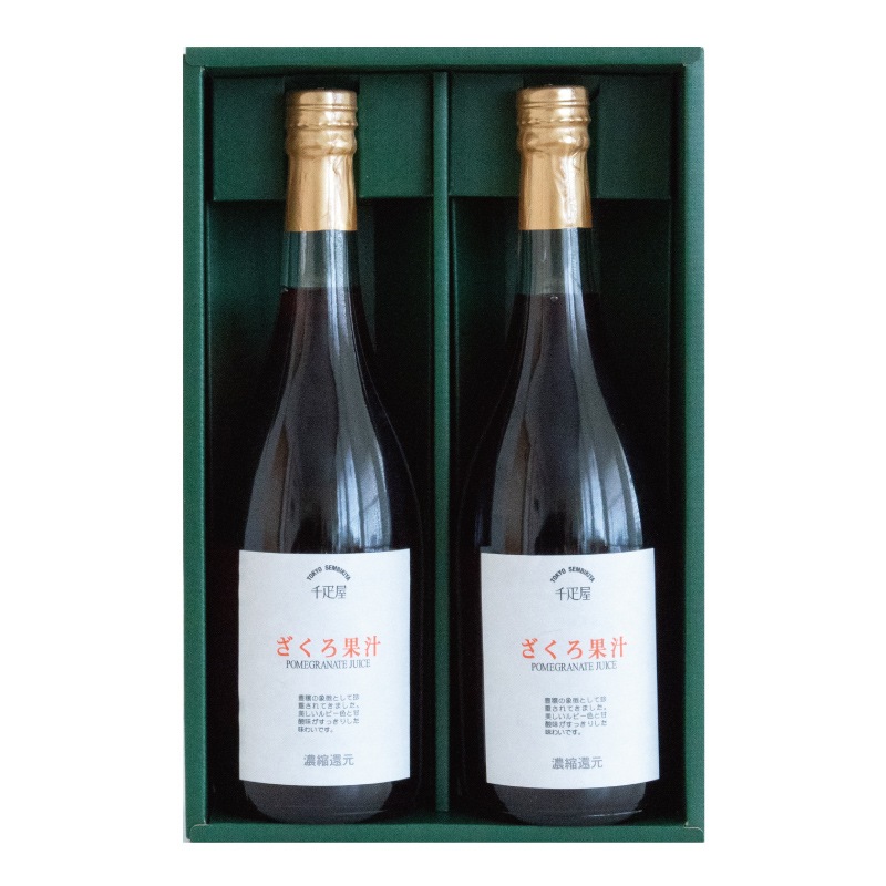 ���������塼�� 2����