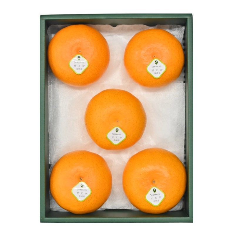 �ڤ��Ϥ��������Բġۤ��Ȥ� 5�� ����Ȣ��