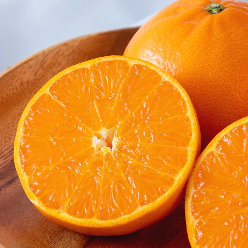 �ڤ��Ϥ��������Բġۤ��Ȥ� 5�� ����Ȣ��