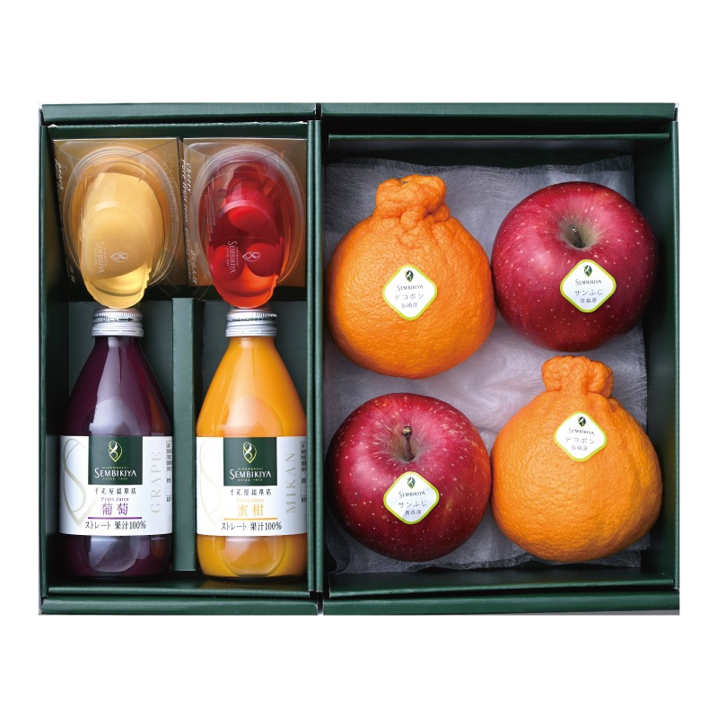 �ڿ��̸��ꡦ���Ϥ��������Բġ۽դΥե롼�ĥ������ȥ��쥯������1��