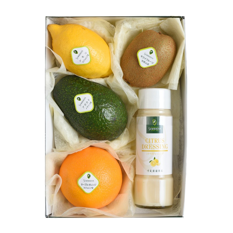 ��ʪ�����ȥ饹�ɥ�å��󥰵͹� �ʥ��ܥ��ɡ�����󥸡��������ե롼�ġ����󡦥ɥ�å��󥰡�