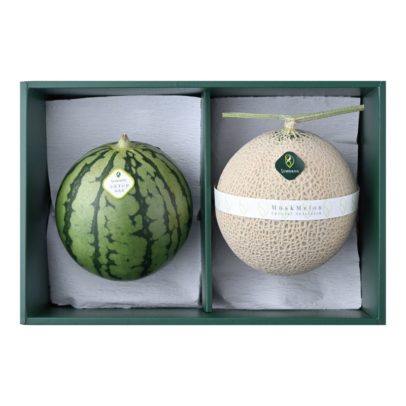 �ڤ��Ϥ��������Բġۥޥ�������󡦾��̤������͹� 