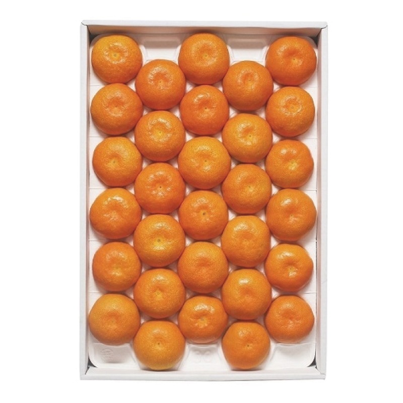 出島の華みかん 2.5kg [お届け日・サイズ指定不可・入荷次第順次発送