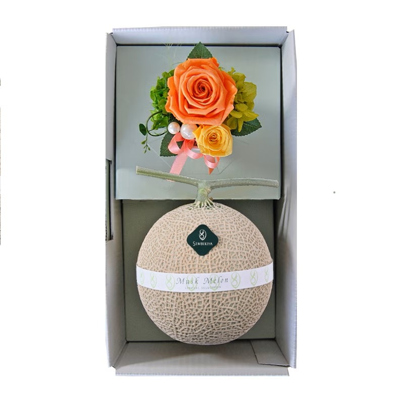 �ޥ��������ȥץ�����󥸥��ȡʥ���󥸡�