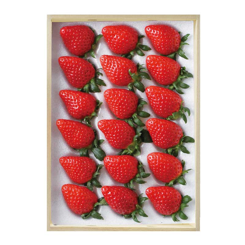 �ڤ��Ϥ��������Բġۡ��������󥹥ȥ��٥꡼ 1���å� ��Ȣ����