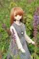 AF2722【u.u.z】MSD，SD/DD用洋服2点セット|女の子 セット服(総合)|◆ドール洋服（種類別）
