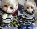 AF3023【TATA】★幼SD用セーター|ワンピ/シャツ/ブラウス/セーター|◆ドール洋服（種類別）