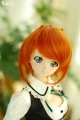 U-3154【D.C.D】ＳＤ/DD(頭囲22~24cm)用ウィッグ|SD/DD|◆ドールウィッグ