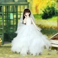 AF4173【C.X】MSD,SD/DD用洋服3点セット|女の子 セット服(総合)|◆ドール洋服（種類別）