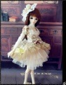 AF4441【木下】MSD，SD，ＤＤ（M），ＤＤ（Ｌ）・DDDｙ用ドレス5点セット|女の子 セット服(総合)|◆ドール洋服（種類別）